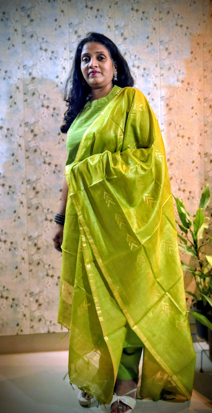 Elegant Kurta Pant set with Dupatta